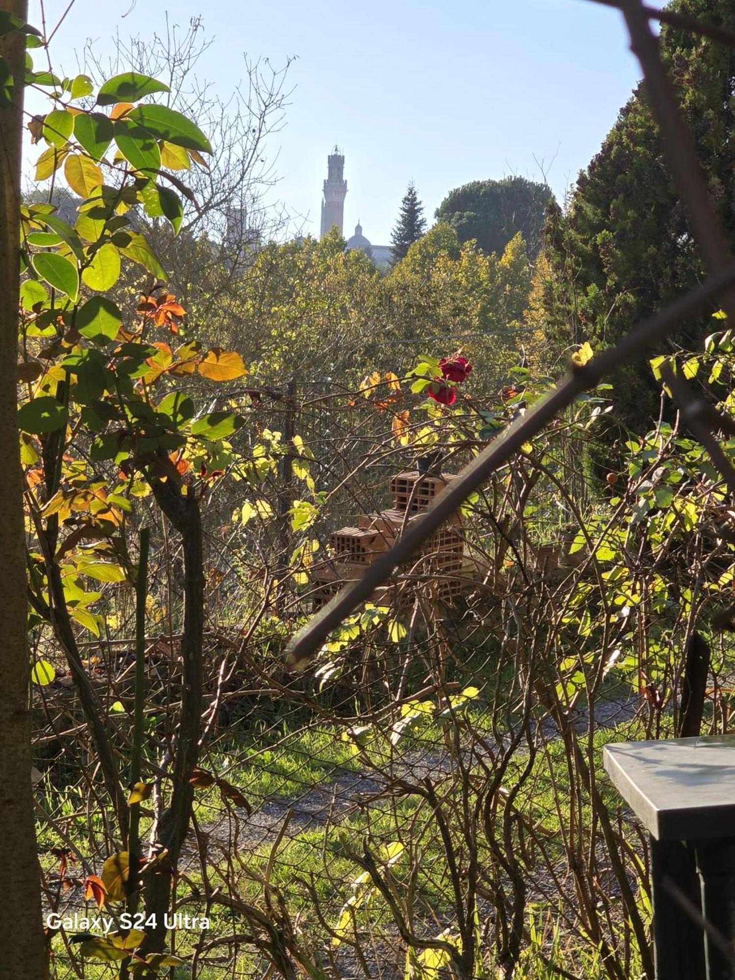 Podere Ponticini 시에나 외부 사진