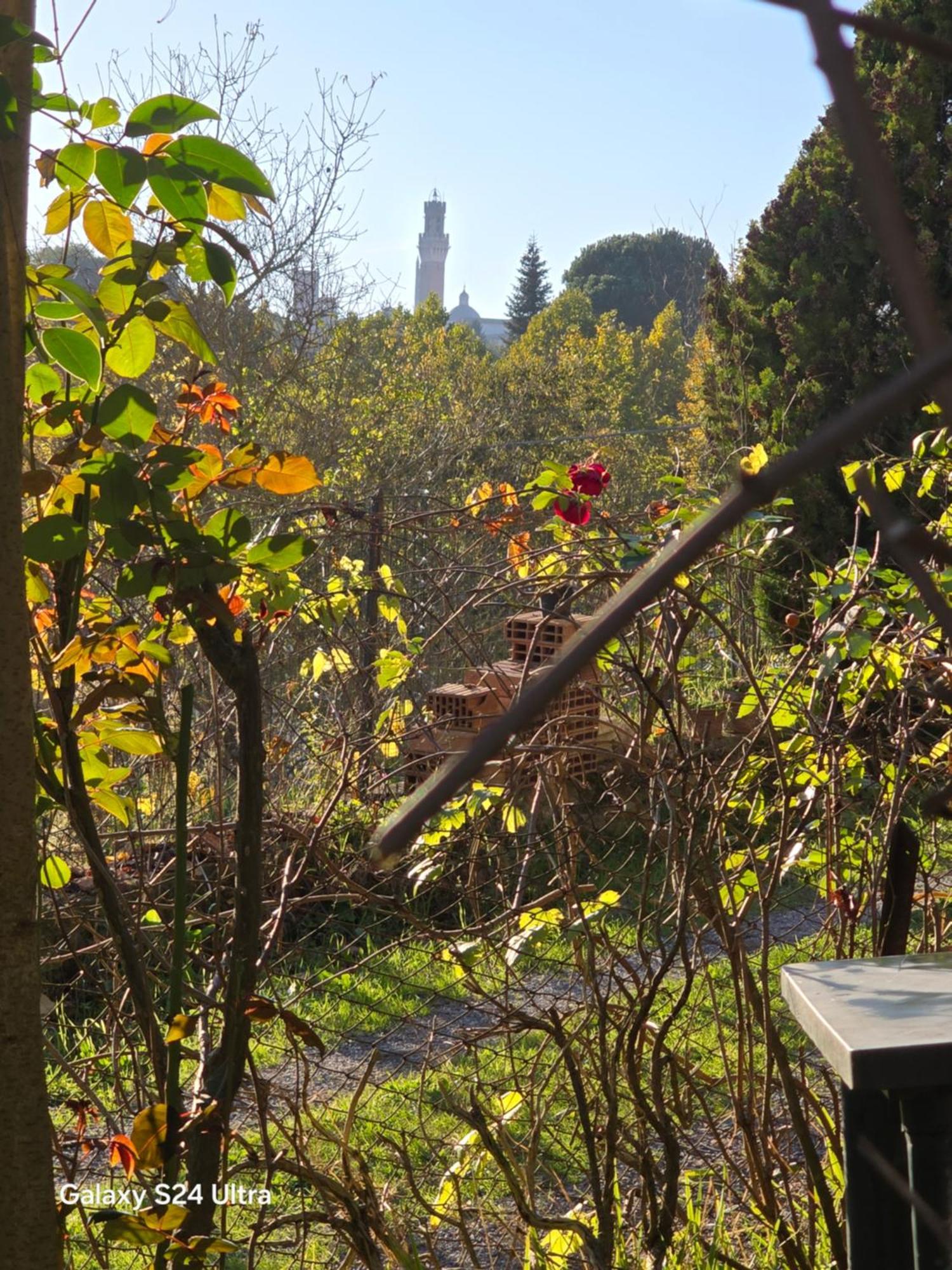 Podere Ponticini 시에나 외부 사진
